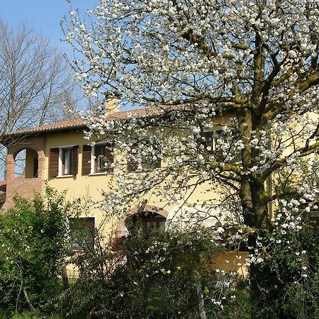 B&B Ai Ciliegi Mogliano Veneto Luaran gambar