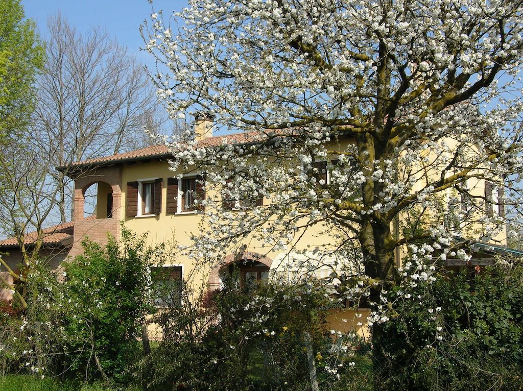 B&B Ai Ciliegi Mogliano Veneto Luaran gambar